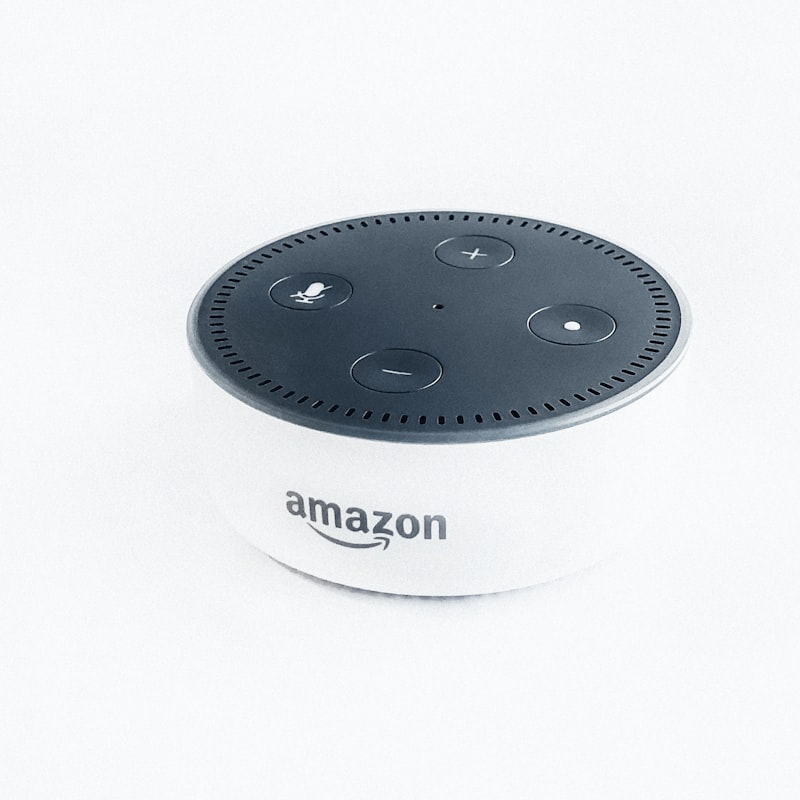 Mini Smart Speaker